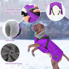 Doglay dog jacket adjustable magic stickers neck and belly for easy fit.