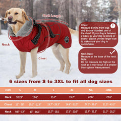 Doglay jacket adjustable magic stickers at neck and belly for quick fits