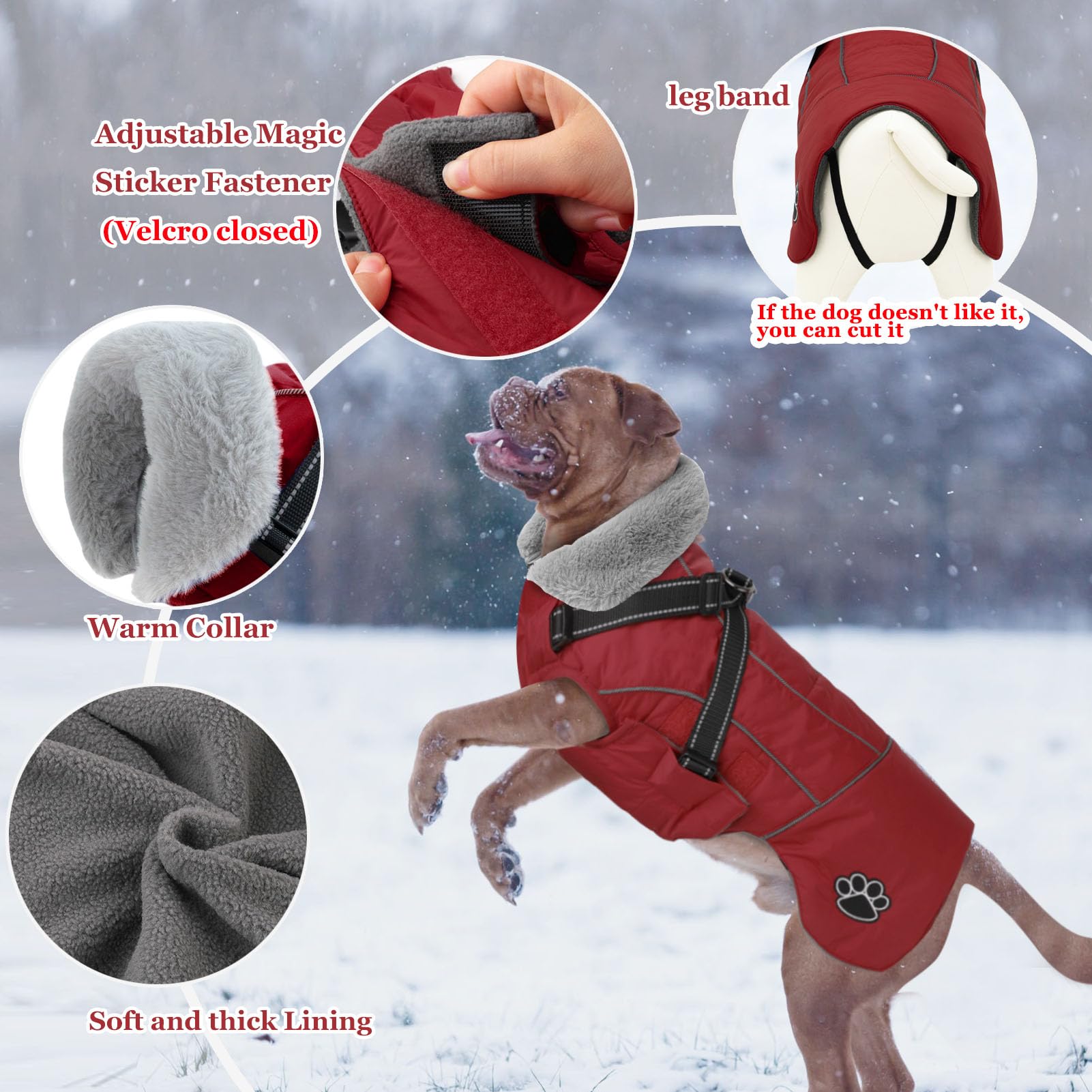 Doglay jacket neck and belly magic sticker closures for easy fit