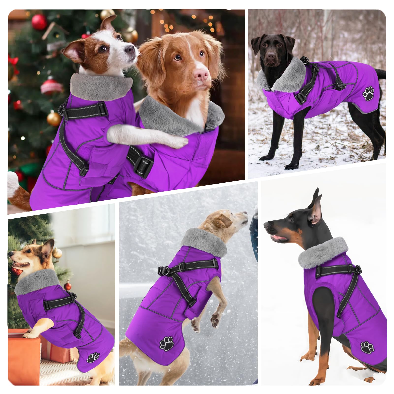 Doglay dog jacket windproof and water resistant puffer coat protects outdoors.