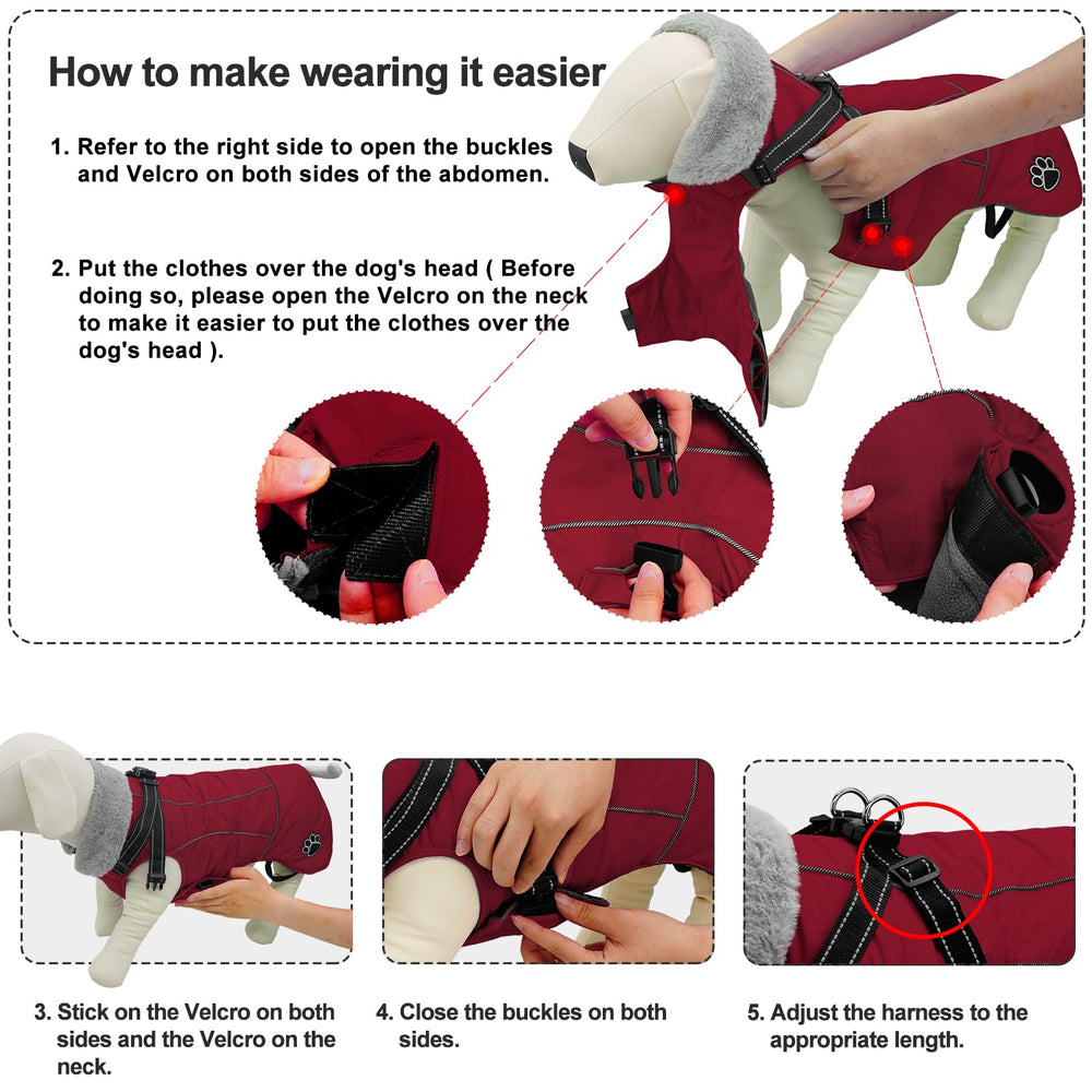 Doglay easy-on-off design reduces fuss during quick trips
