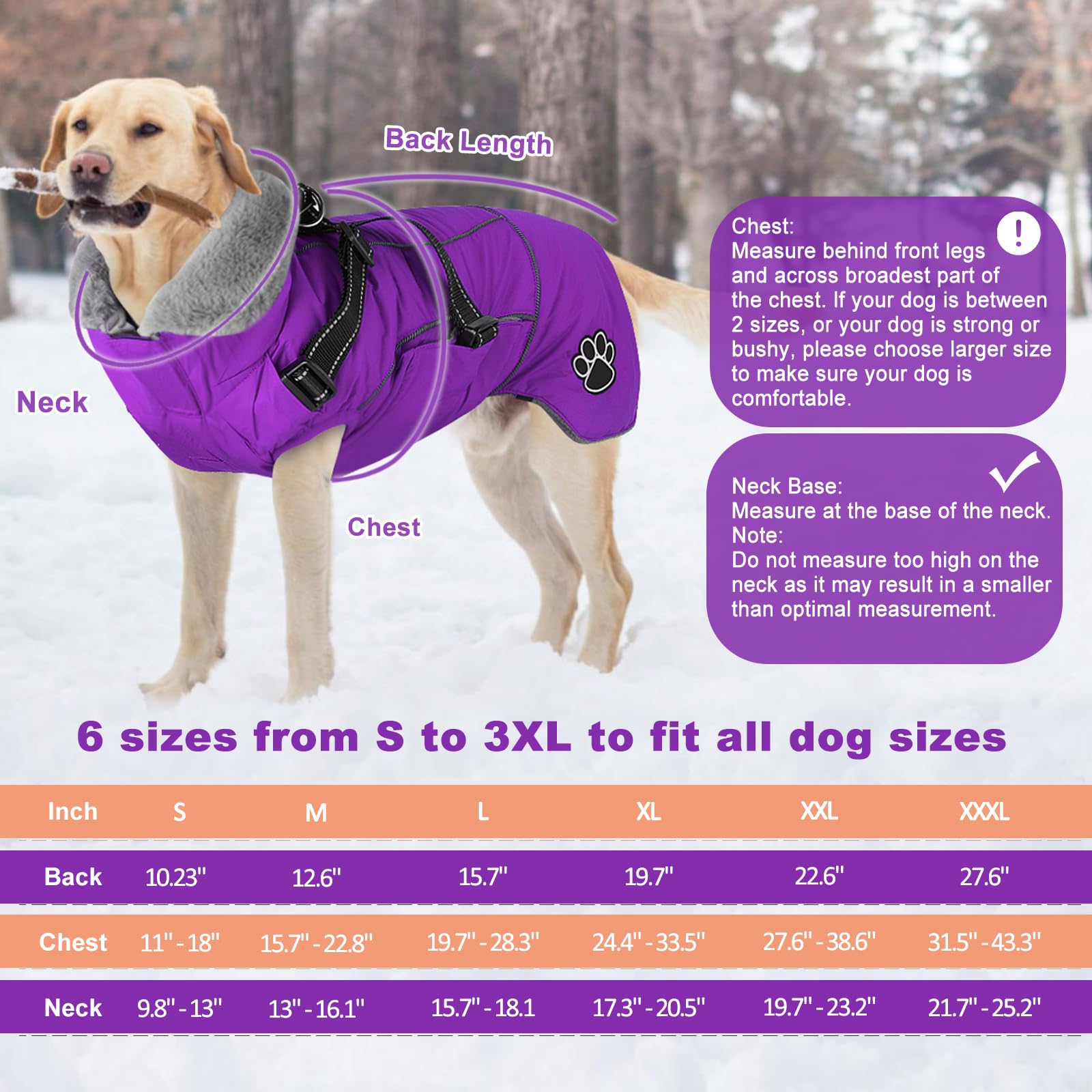 Doglay dog jacket harness built-in front shows integrated safety on walks.