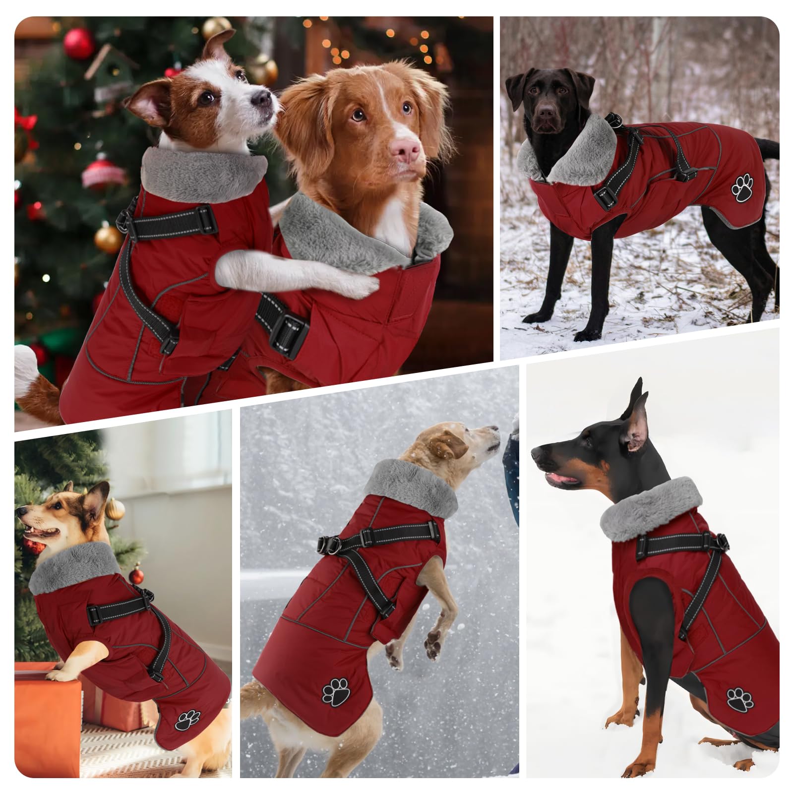 Doglay jacket with reflective stripes for safer nighttime visibility
