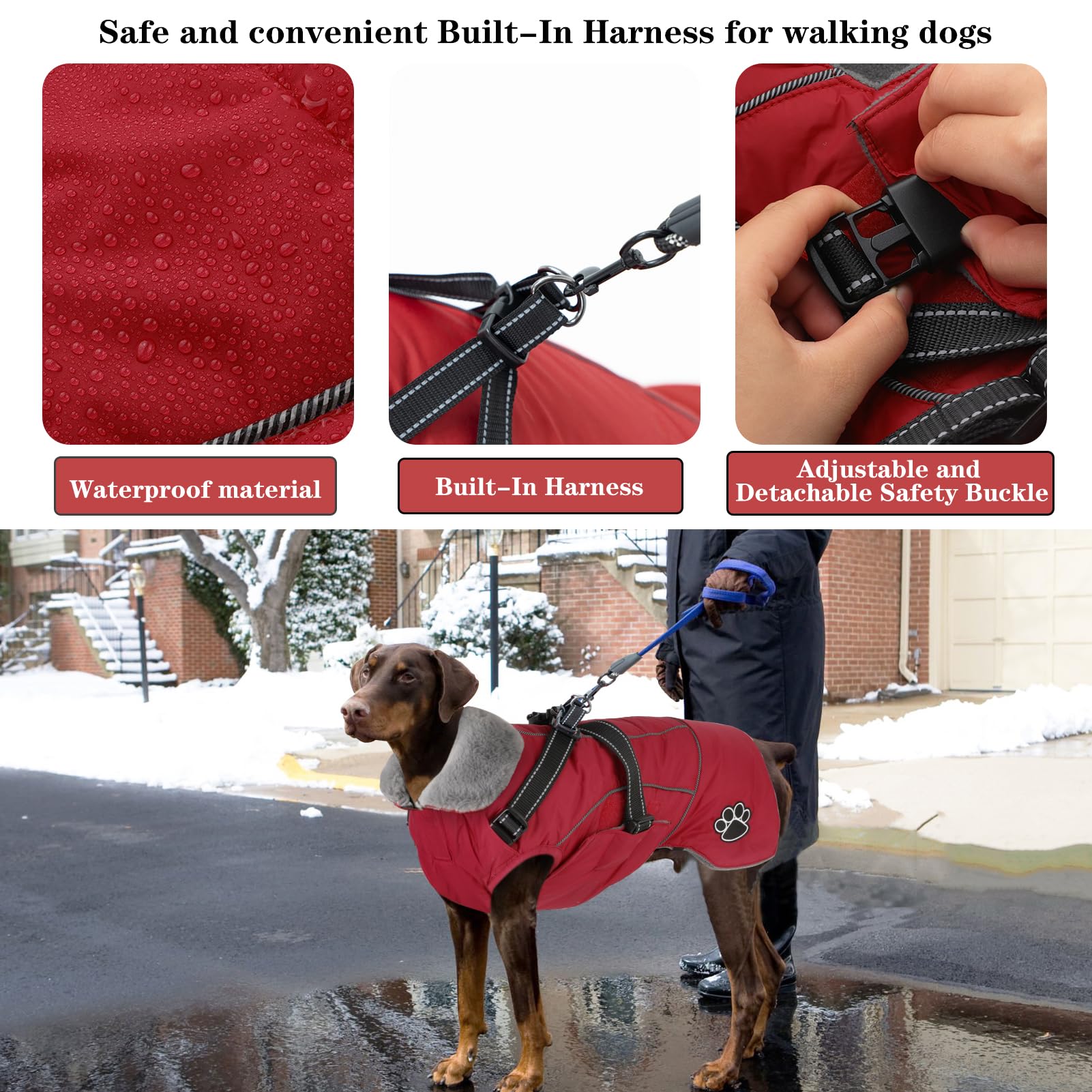 Warm collar and cozy lining visible on a small dog in cold weather