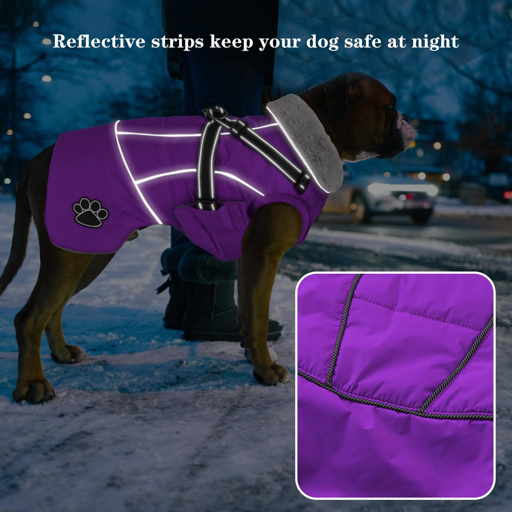 Doglay dog jacket warm collar and soft lining keep dogs cozy outside.