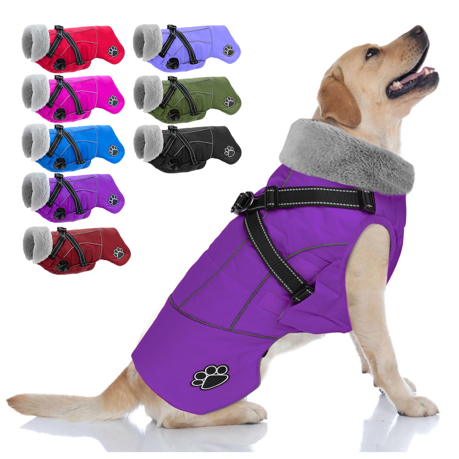 Doglay dog jacket waterproof back view demonstrates rain protection and durable shell.