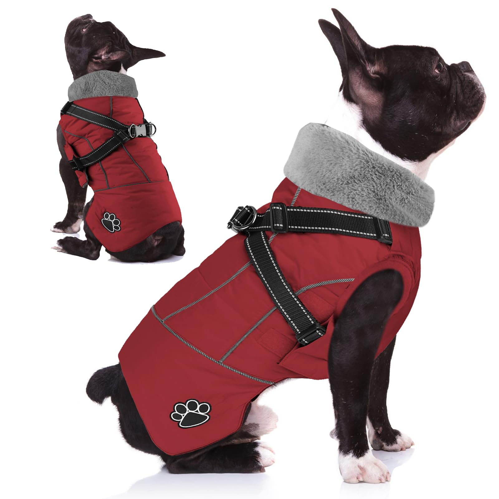 Doglay waterproof dog jacket with built-in harness keeps dogs dry on walks
