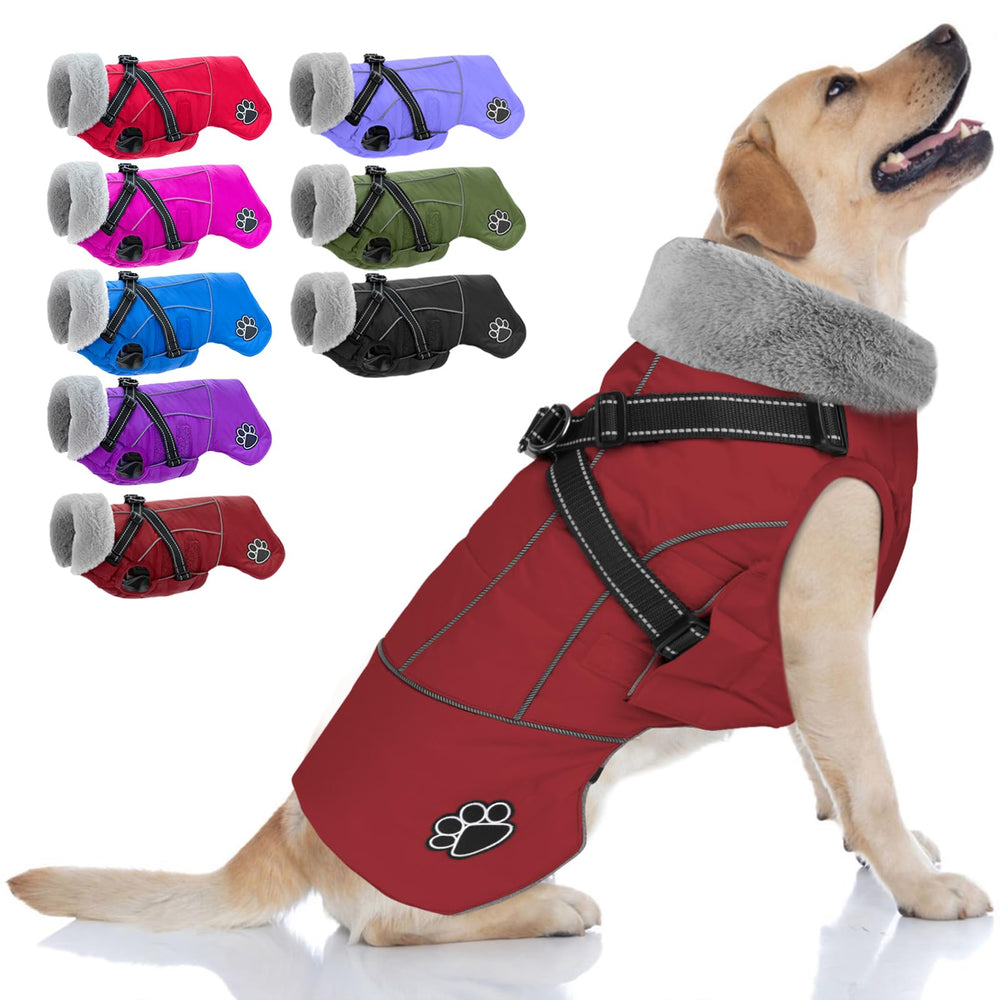 Doglay waterproof dog jacket with built-in harness on snowy walk
