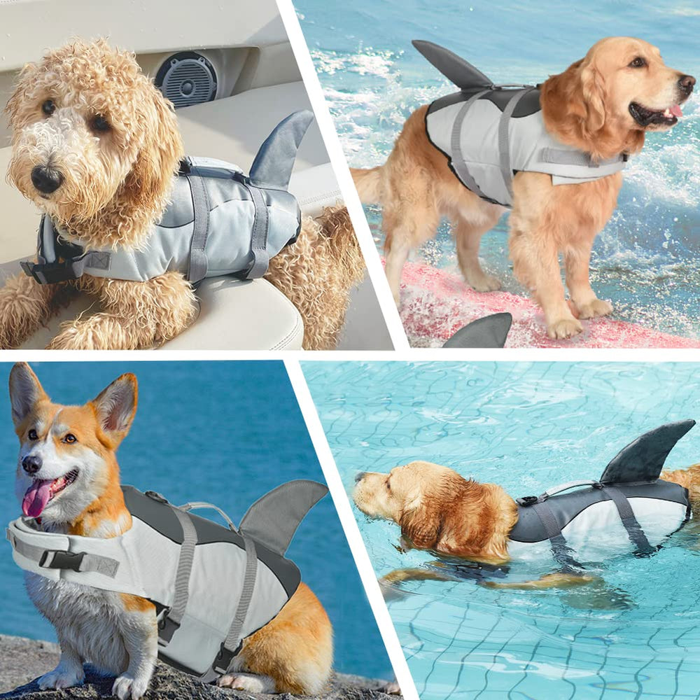 Doglay Adjustable Belt Quick-Release demonstrates easy on/off for water play.