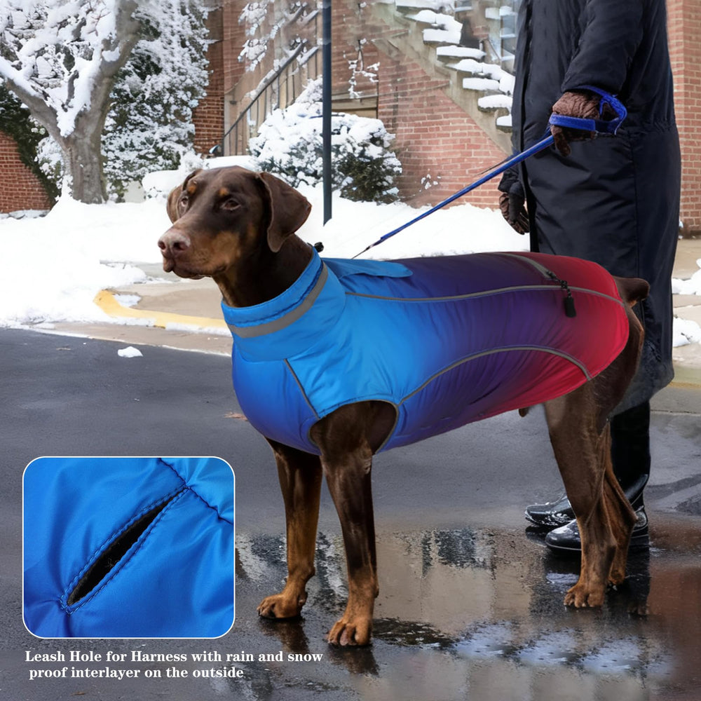 Doglay gradient blue-purple-pink coat offers stylish, high-visibility comfort.