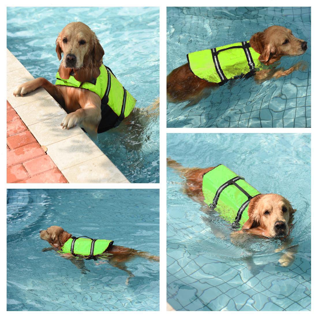 Doglay Life Jacket back view showing reflective stripes for low-light safety