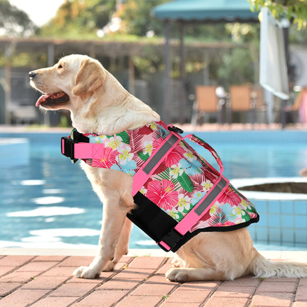 Doglay buoyant vest with reinforced materials suitable for boating, swimming, and beach days.