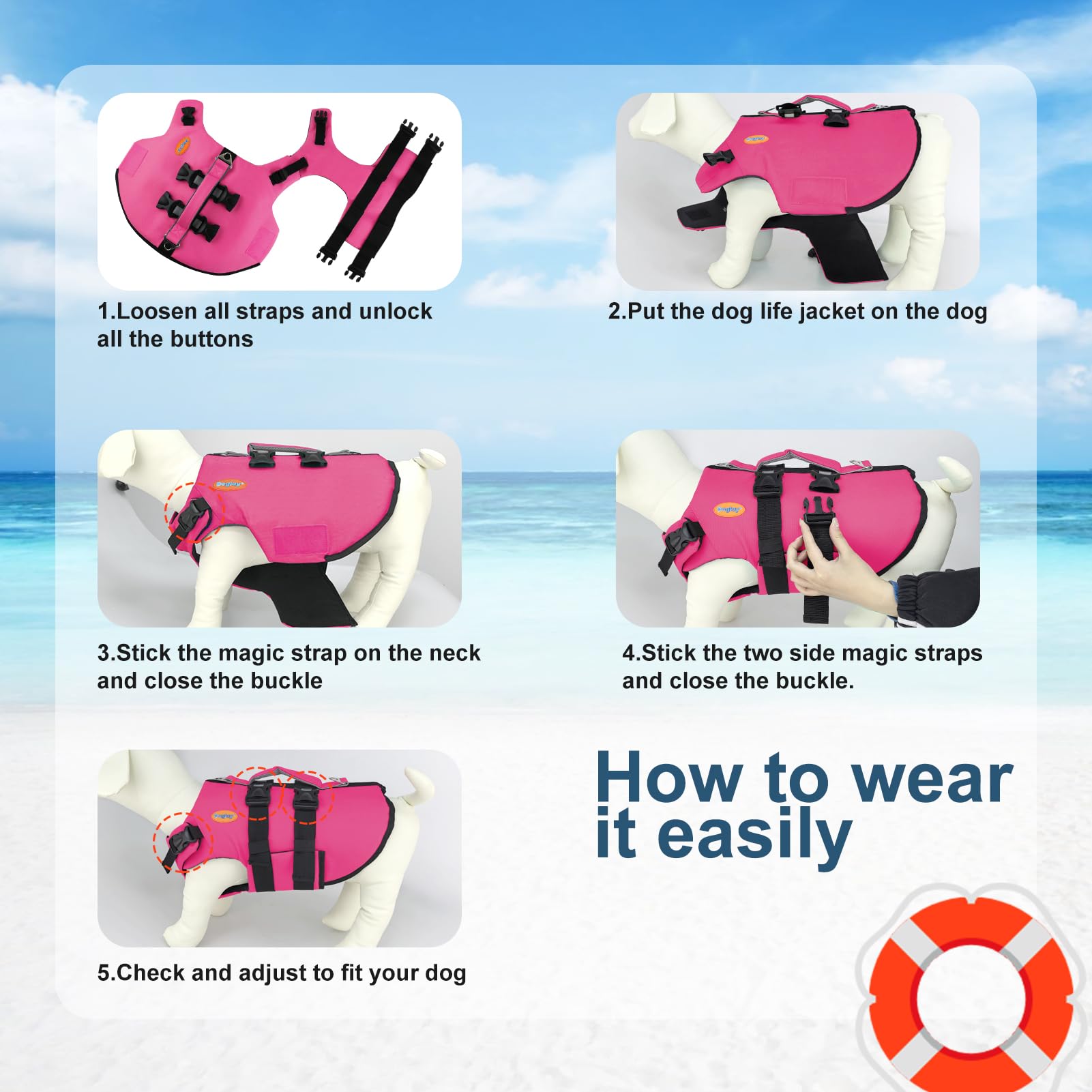 Doglay life jacket shown on a dog enjoying water activities.