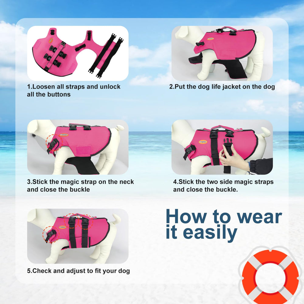 Doglay life jacket shown on a dog enjoying water activities.
