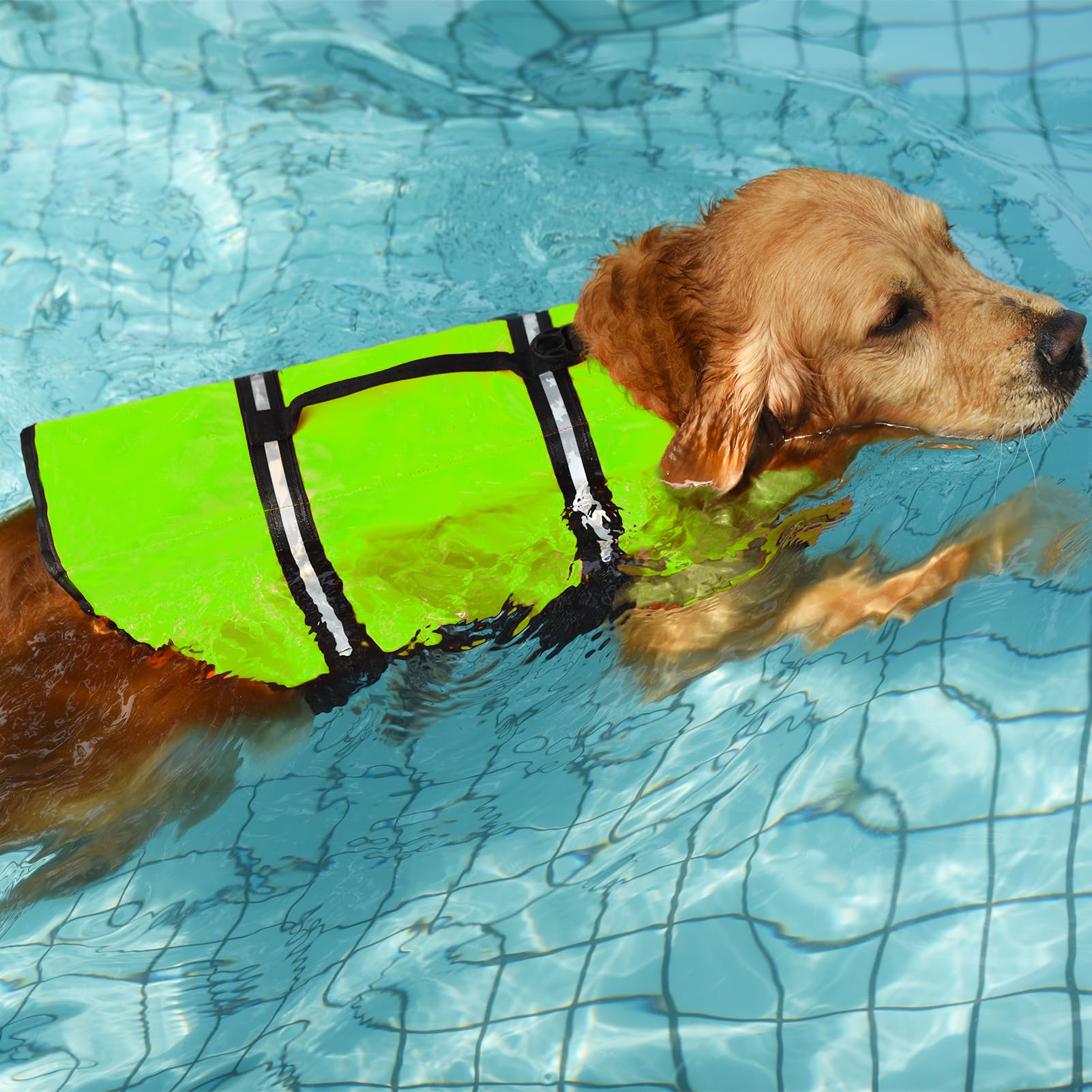 Doglay Life Jacket with reflective stripes for enhanced safety during dusk