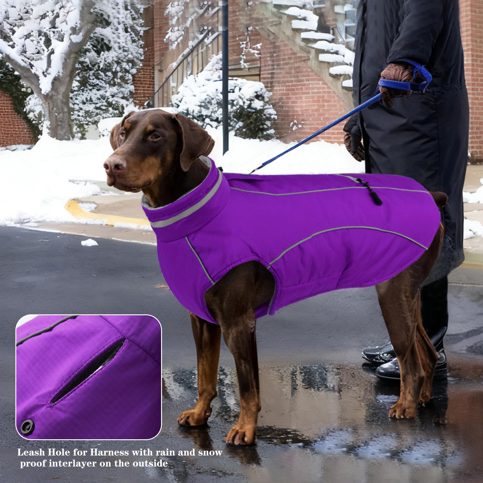 Doglay coat pocket design keeps poop bags handy during chilly strolls.