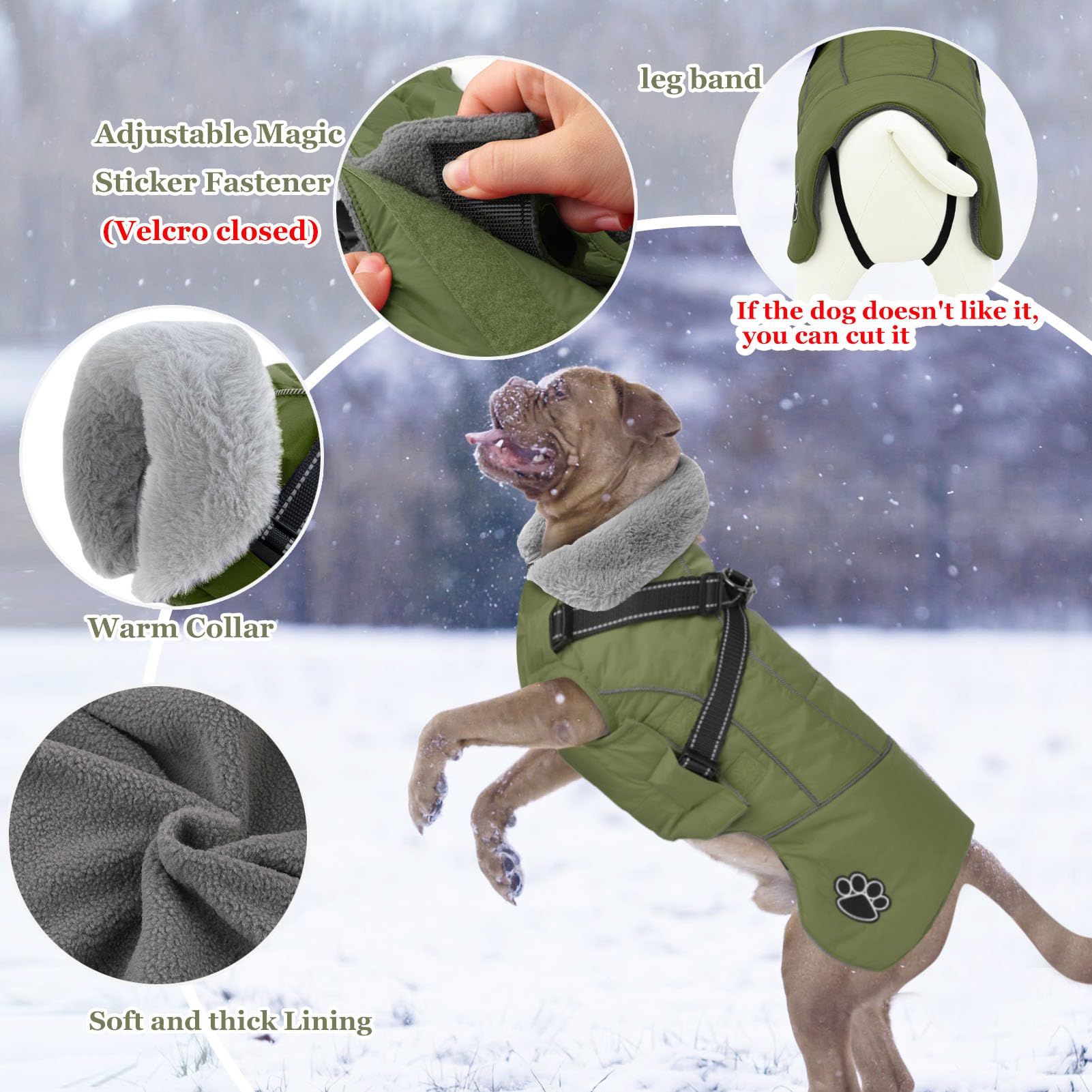 Doglay reflective stripes on back collar and harness for night visibility