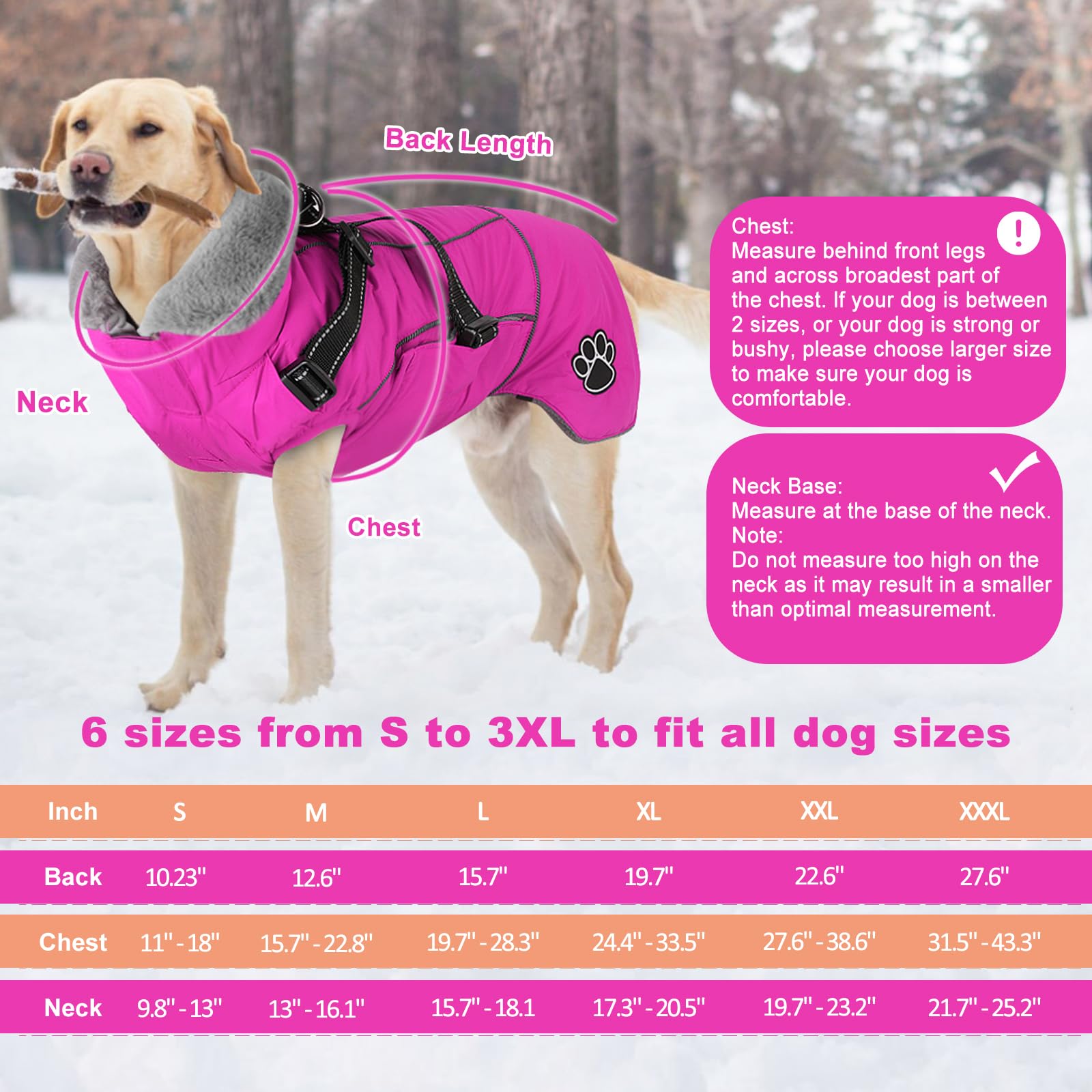 Doglay reflective stripes keep your dog visible at night.