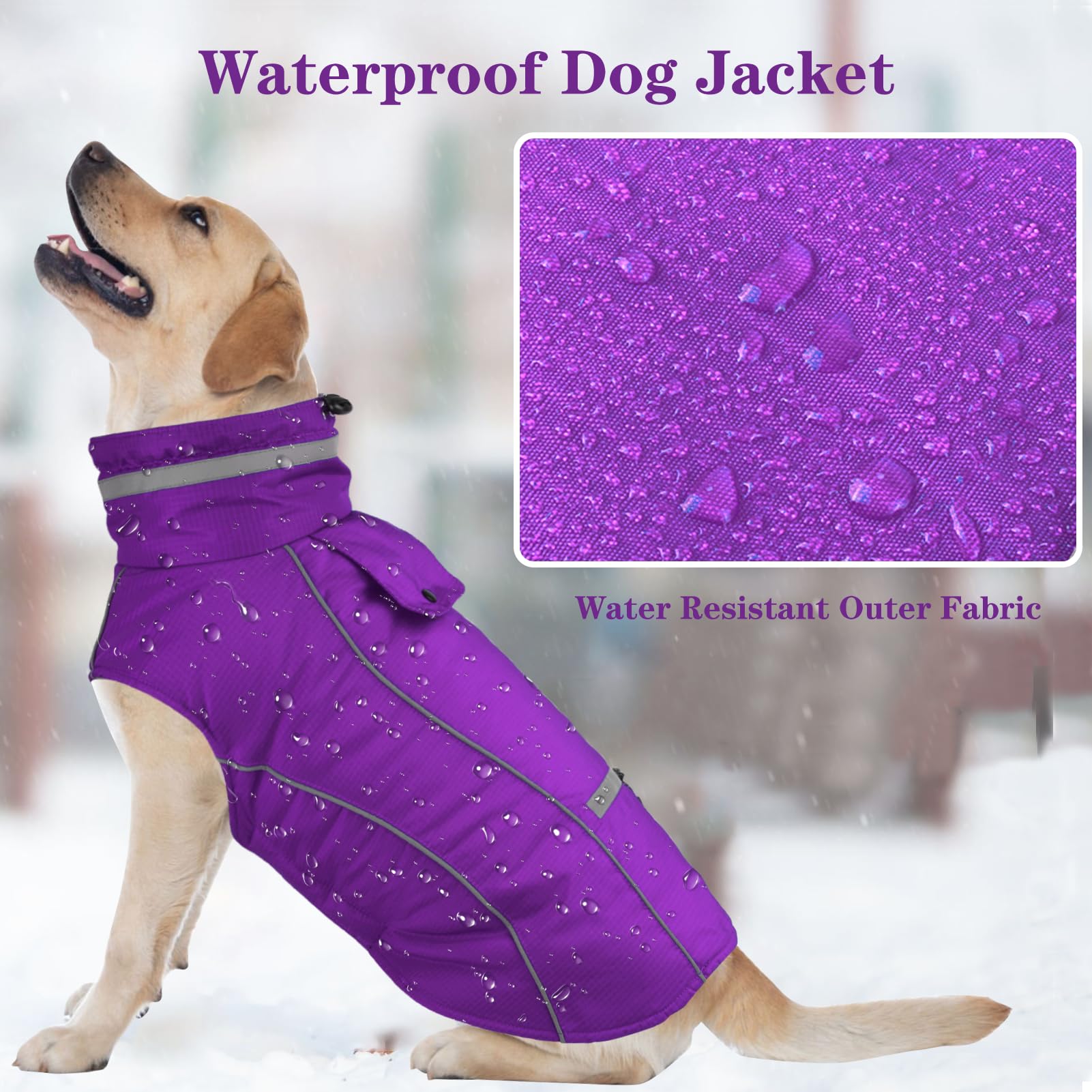 Doglay jacket with reflective trim boosts visibility during night walks.