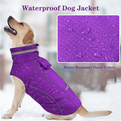 Doglay jacket with reflective trim boosts visibility during night walks.