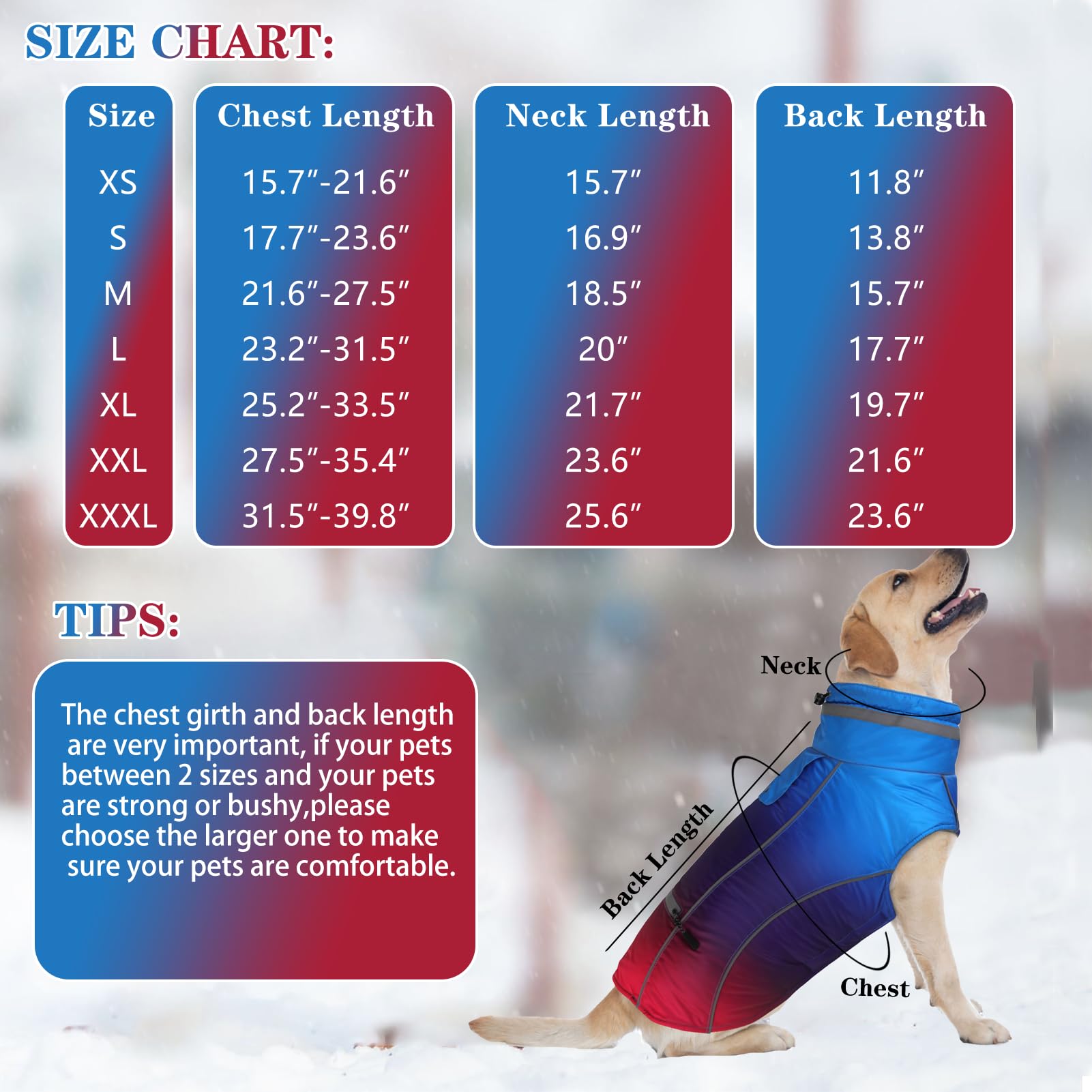 Doglay reflective zippers enhance visibility for night-time outings.