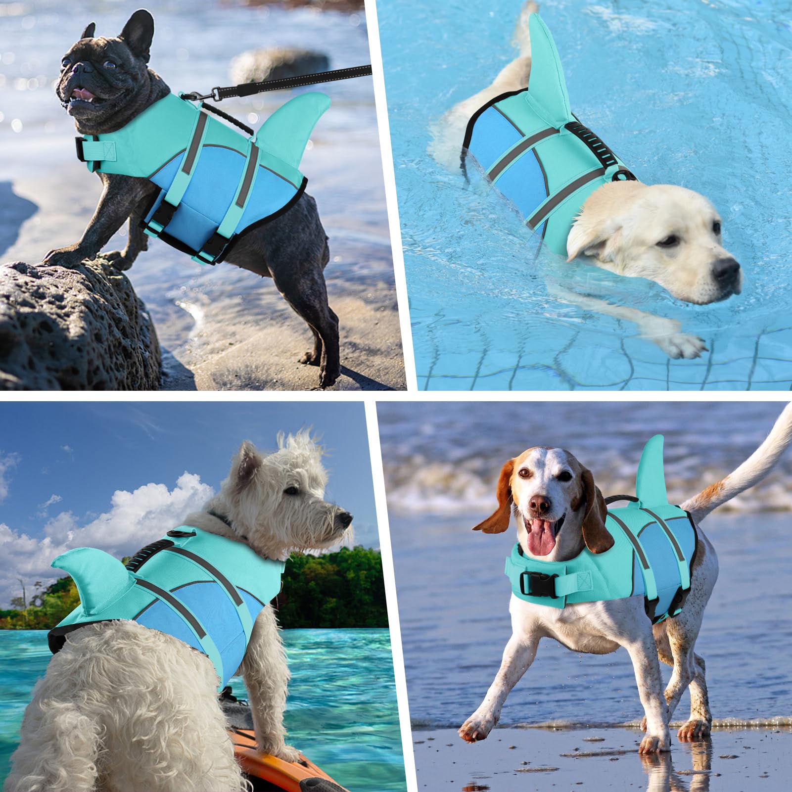 Doglay Shark Dog Jacket back-view bright shark design improves visibility.