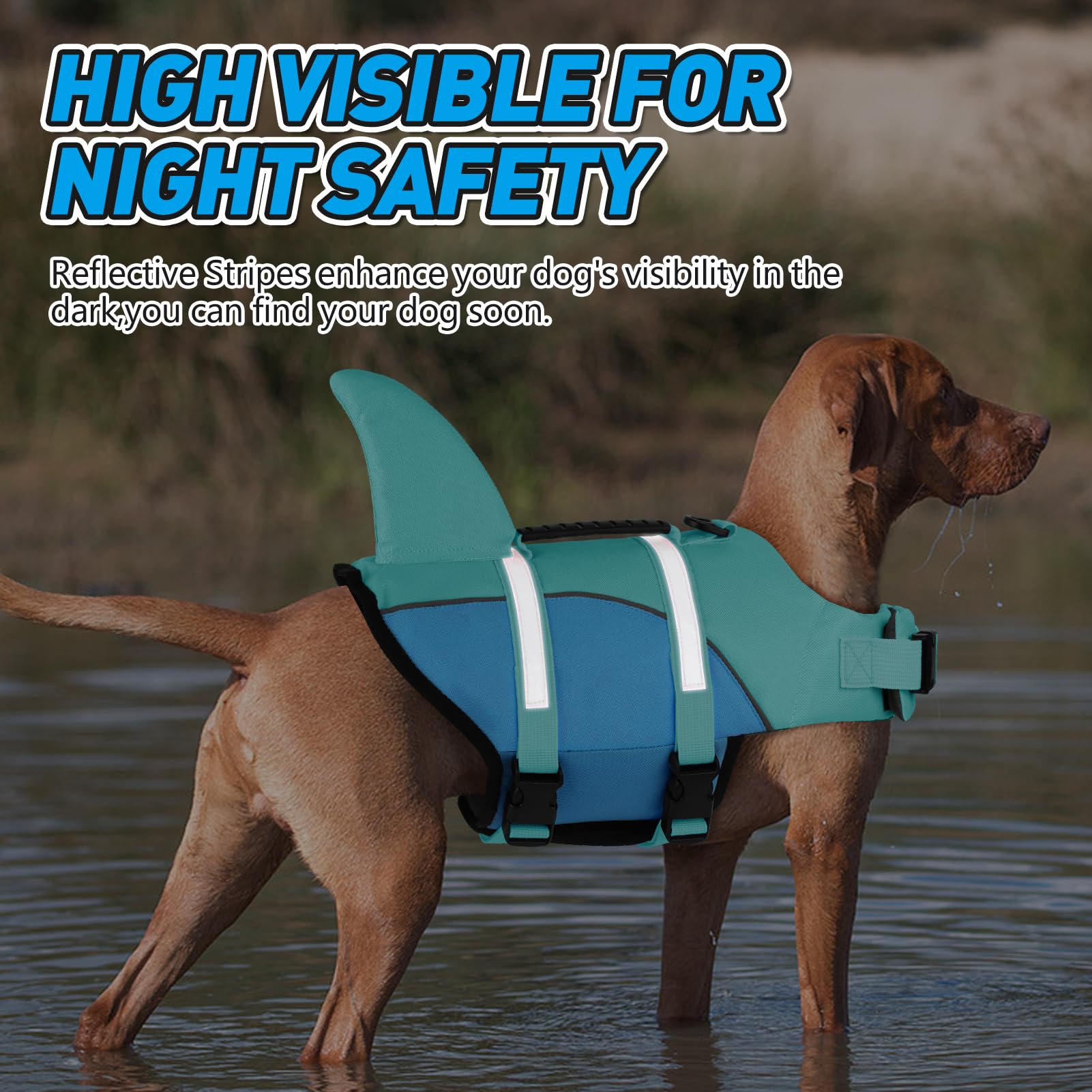 Doglay Shark Dog Jacket hydrotherapy-friendly buoyant support for beginners.