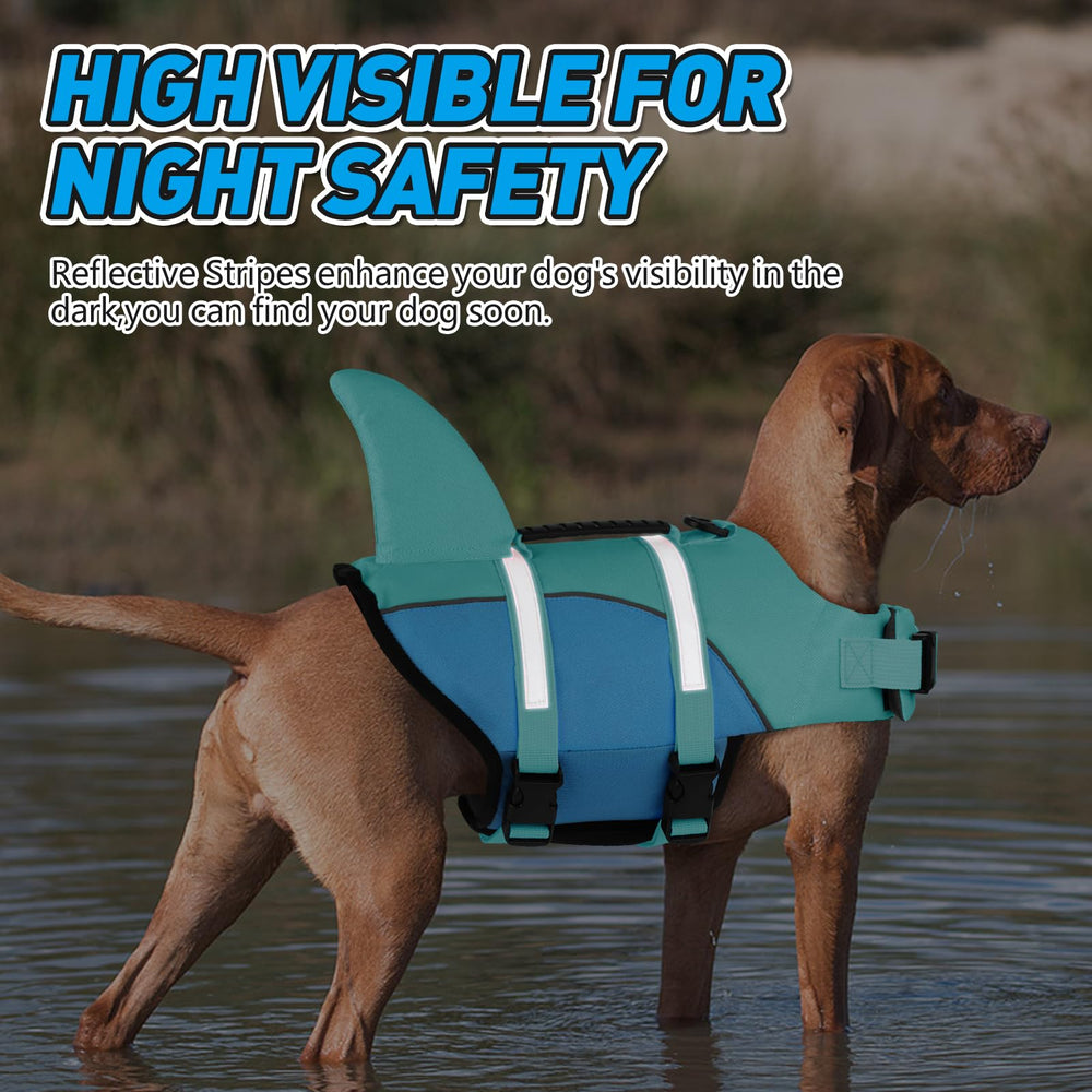 Doglay Shark Dog Jacket hydrotherapy-friendly buoyant support for beginners.