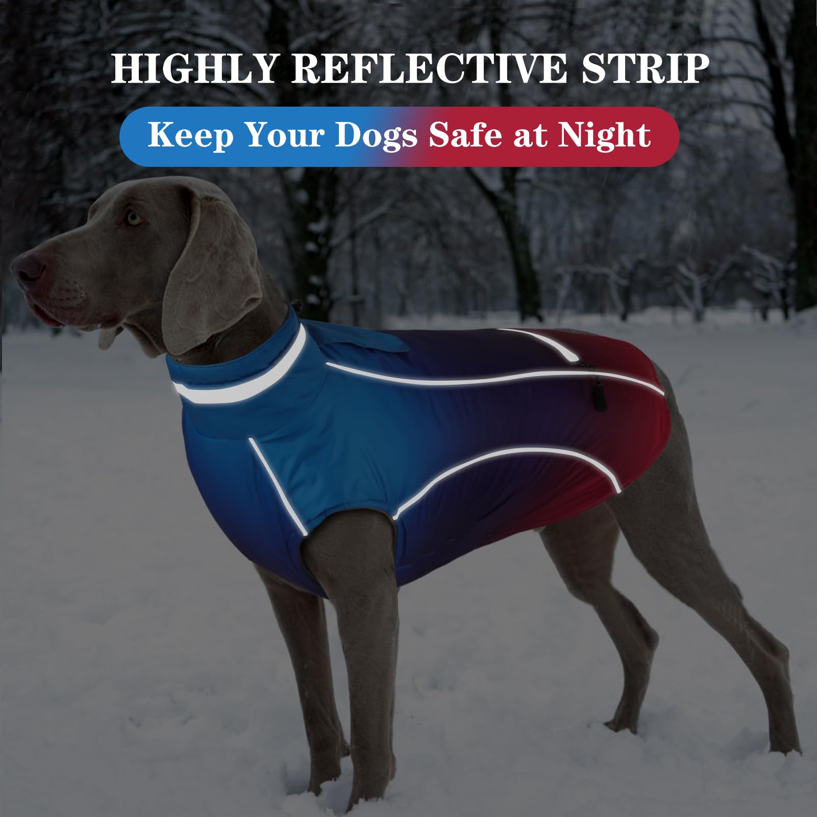 Doglay seven-size range XS to XXXL fits many breeds.
