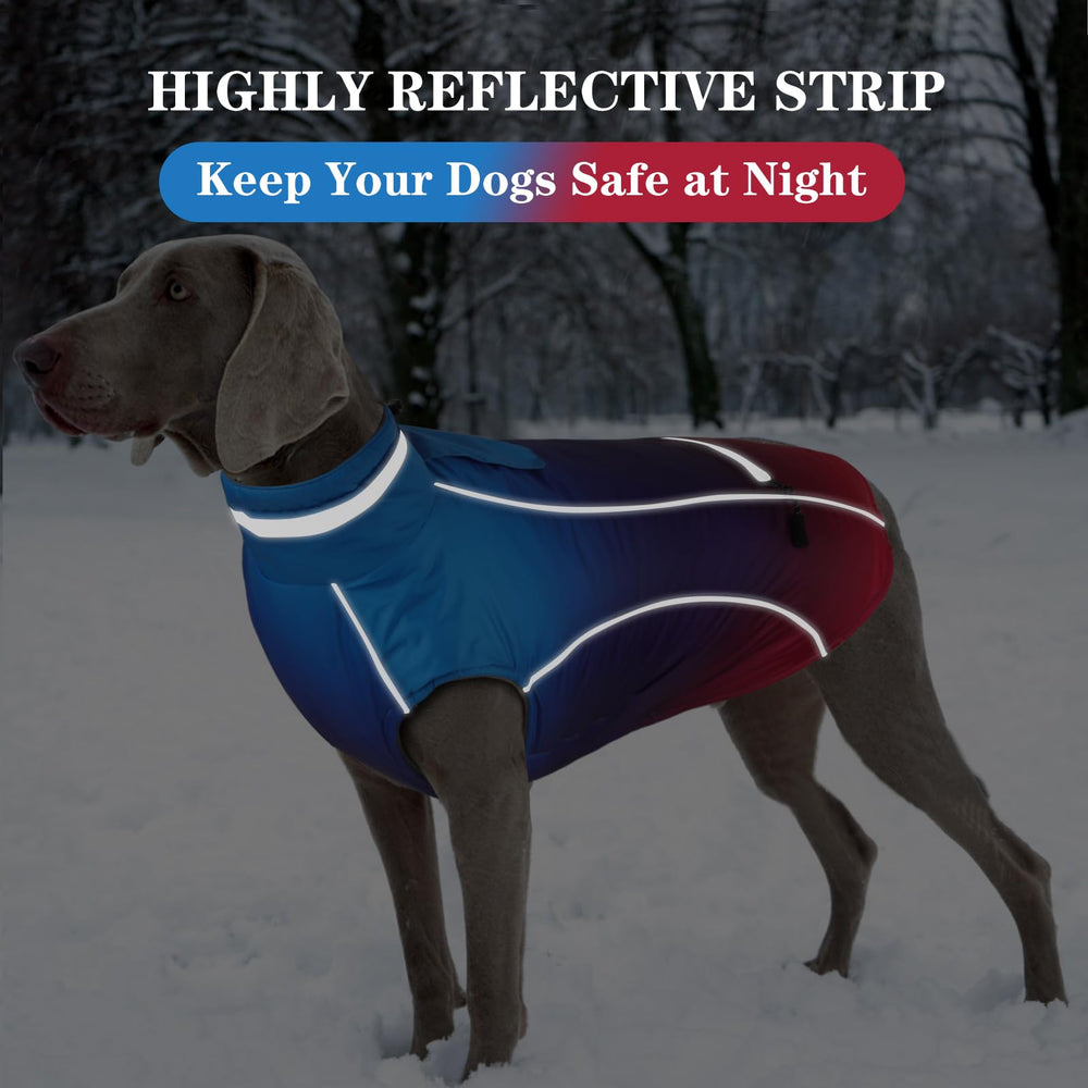 Doglay seven-size range XS to XXXL fits many breeds.