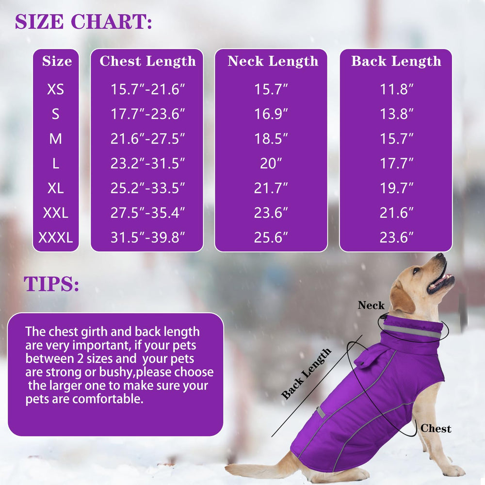 Doglay thick plush lining adds cozy warmth for cold outings.