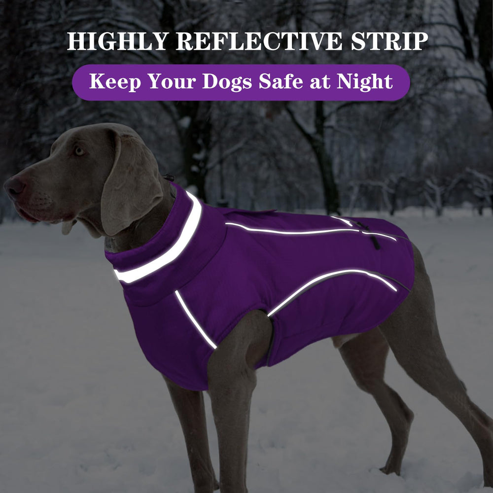 Doglay warm turtleneck coat protects the dog's neck in cold weather.