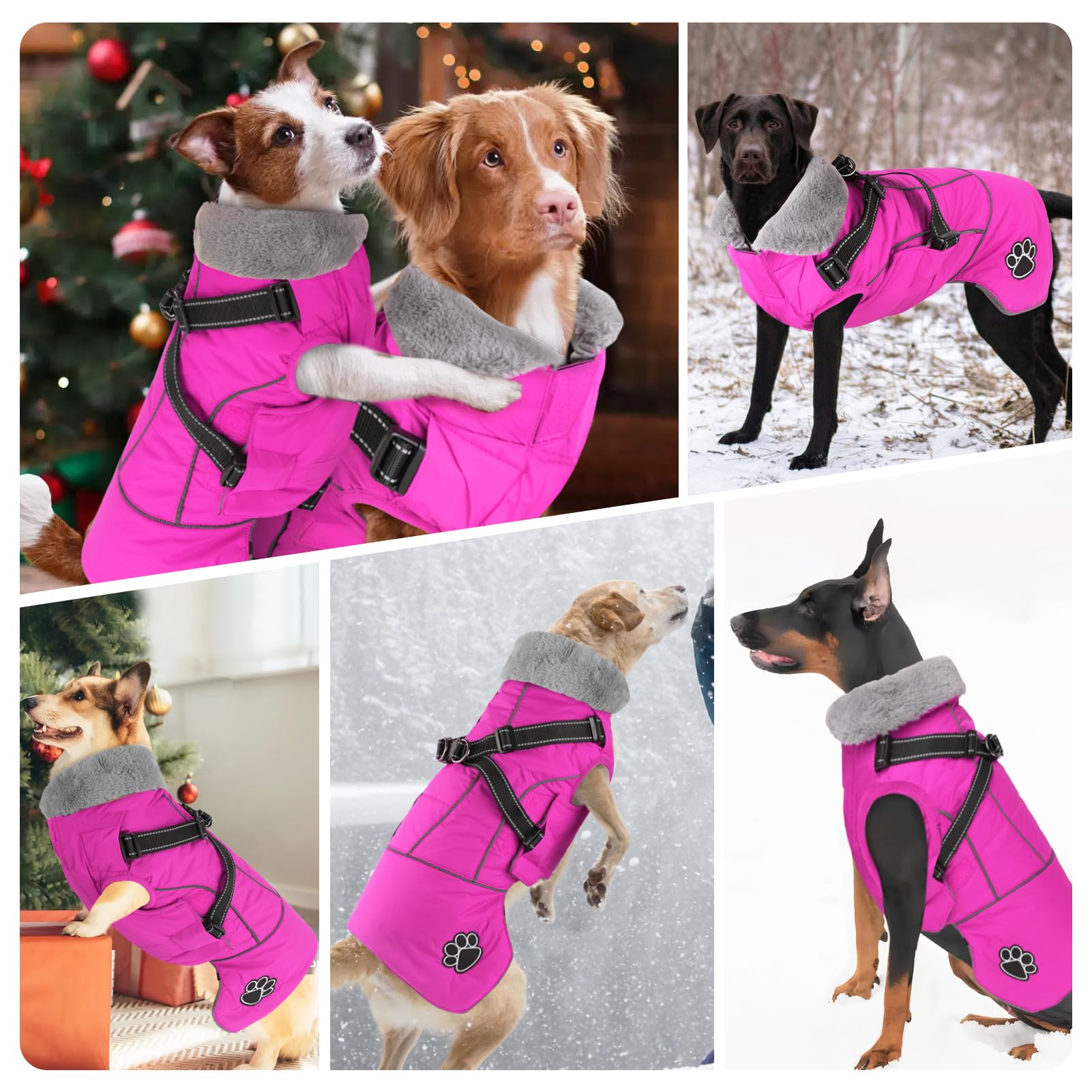Doglay warm collar and soft lining for cozy winter layering.