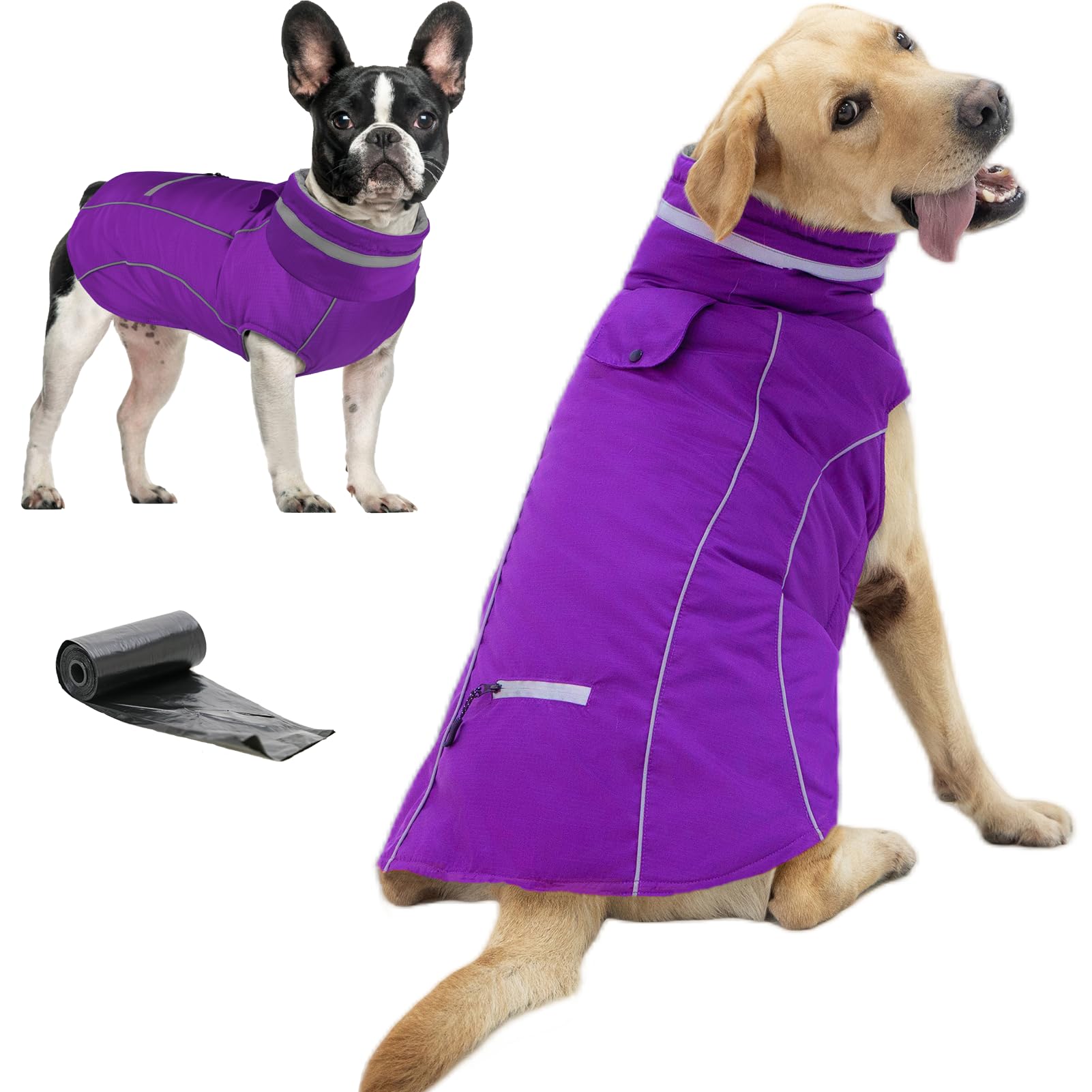 Doglay waterproof dog coat with pocket and reflective details for safe, convenient walks.