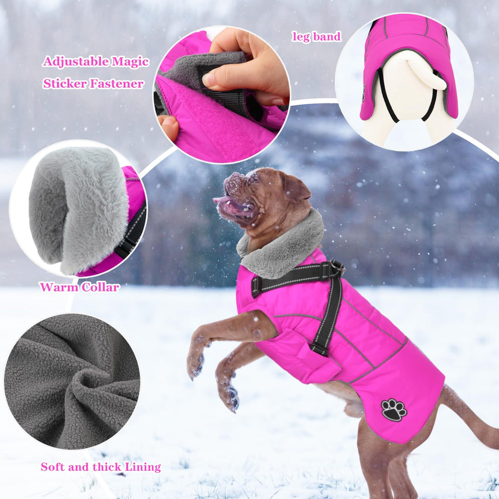 Doglay waterproof and windproof coat protects against rain and snow.