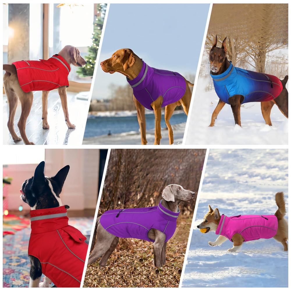 Doglay wide size range coat fits from small to large breeds.