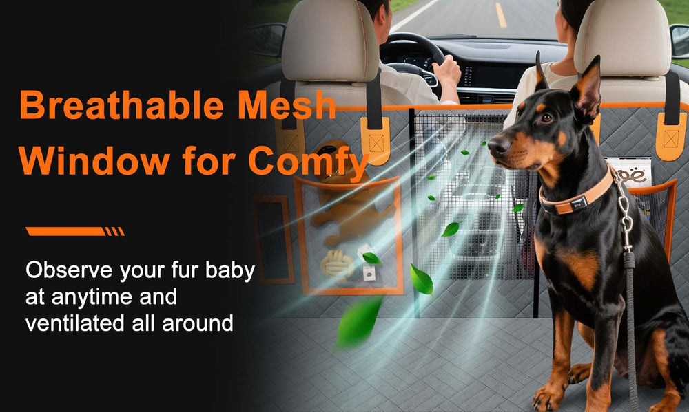 Doglike removable honeycomb board for easy cleaning and durable structure.