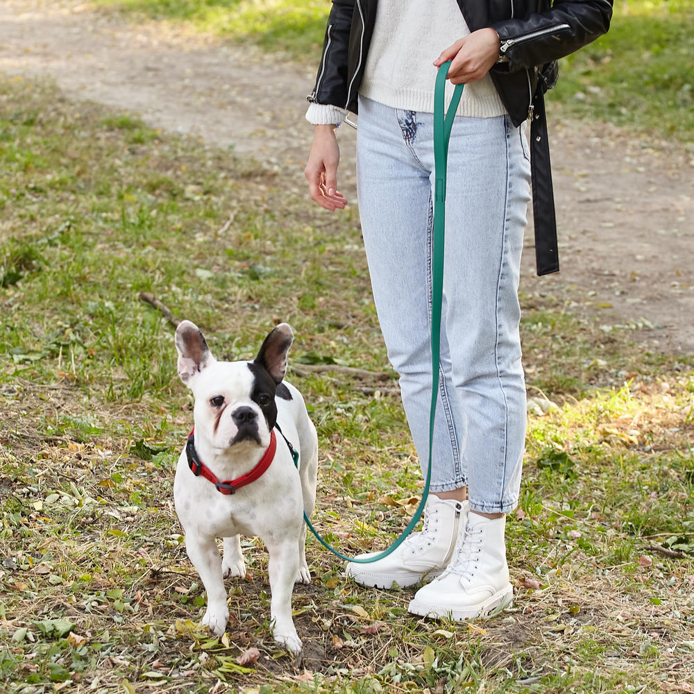 4ft vs 6ft length options on Dogline Biothane leash for versatile training.