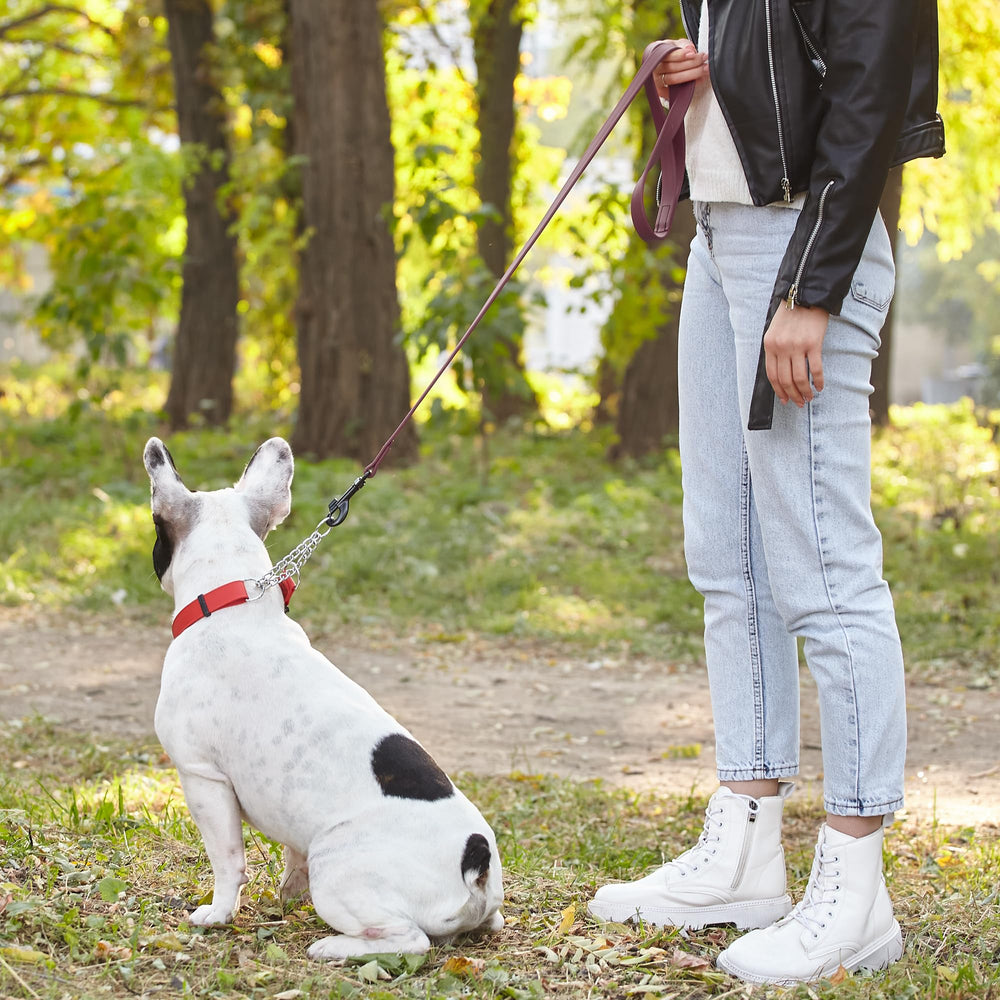 Dogline Biothane leash available in a 6-foot length for spacious strolls