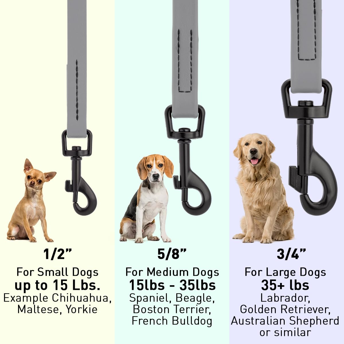 Dogline Biothane 6ft leash length offers extended reach.