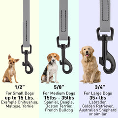 Dogline Biothane 6ft leash length offers extended reach.
