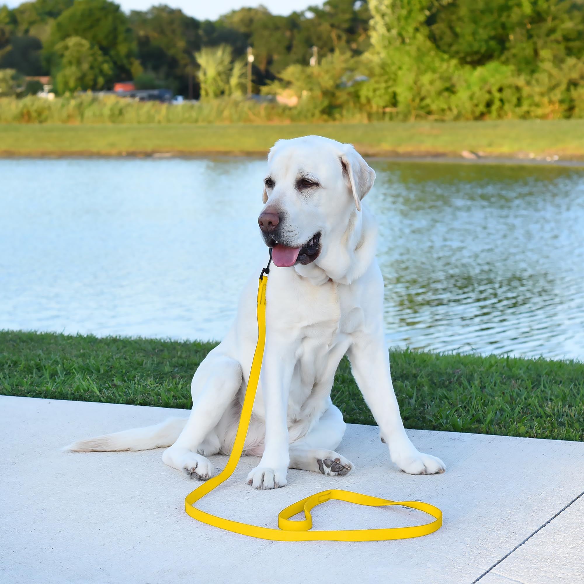 Dogline Biothane leash 6ft size ideal for larger dogs