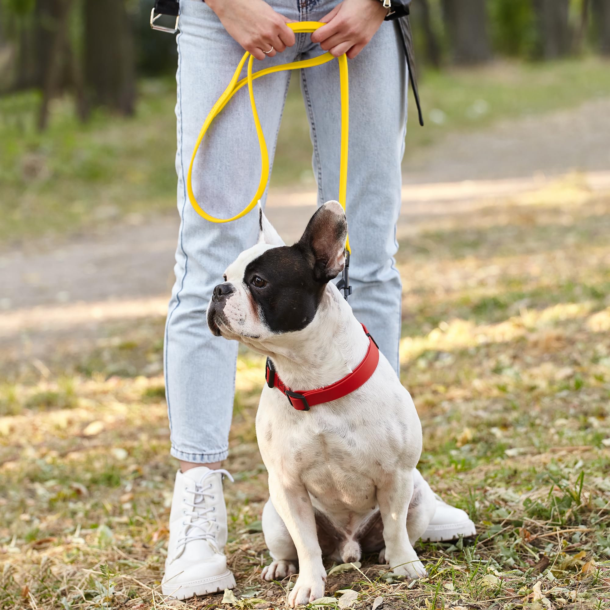 Dogline Biothane leash lemon yellow color option for style and visibility