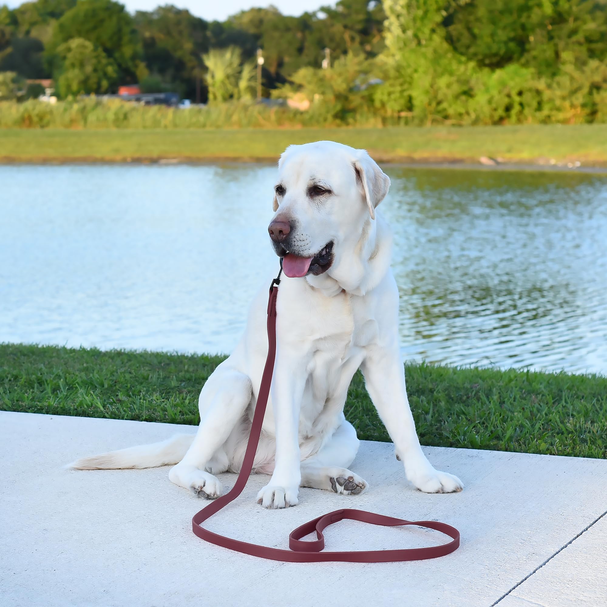 Dogline Biothane leash available in 26 color options to match dog personalities