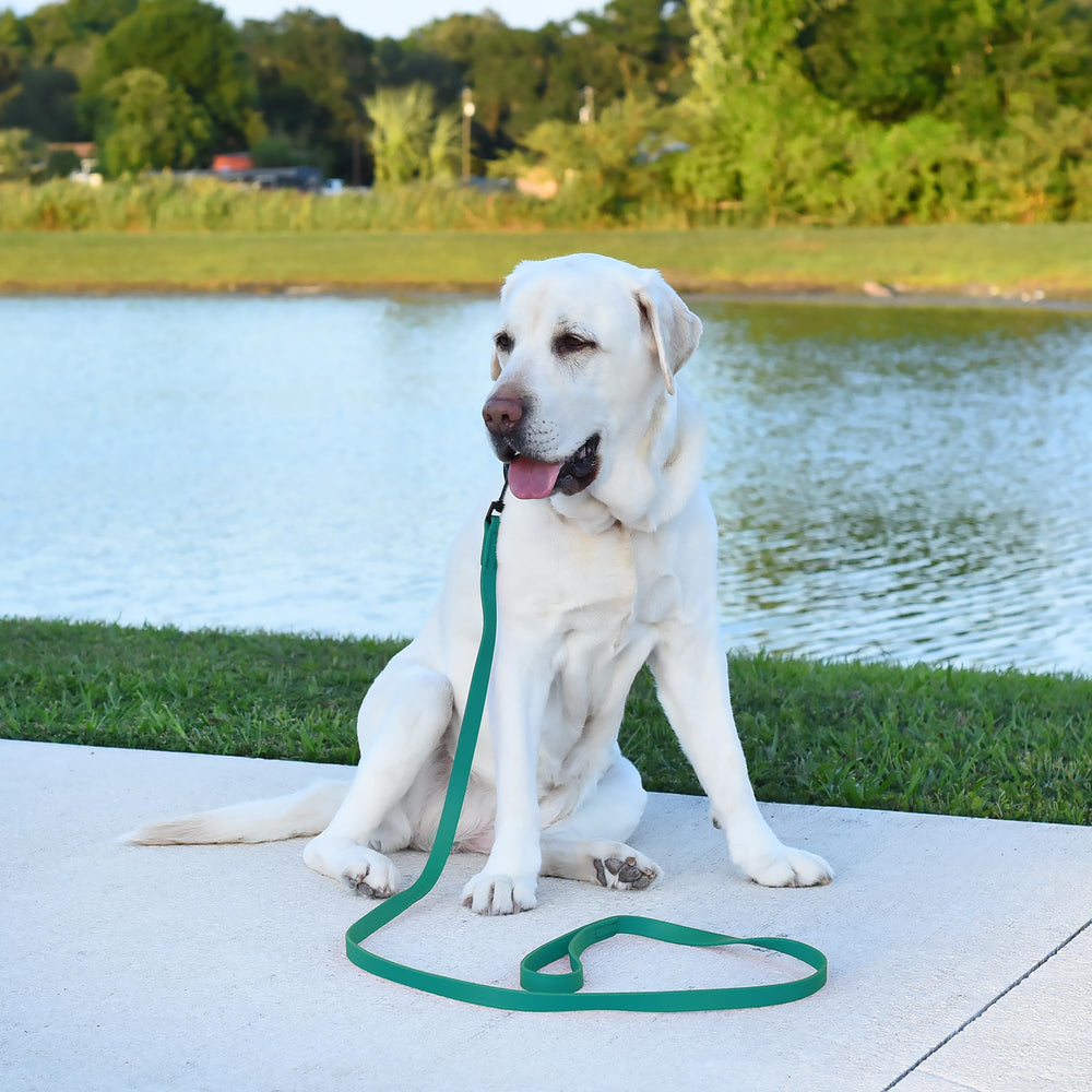 Made in USA banner on Dogline Biothane leash highlighting American craftsmanship.