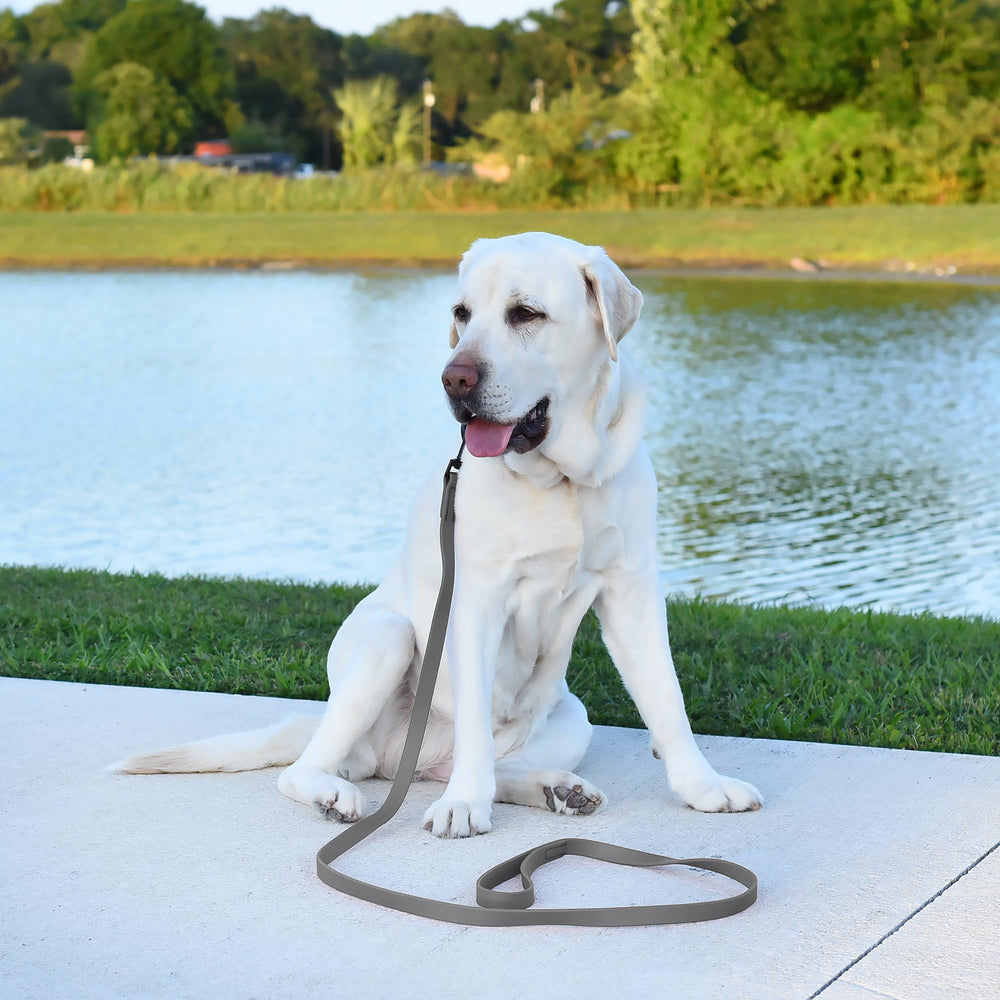 Dogline Biothane leash highlights odor-proof surface for odor-free outings.