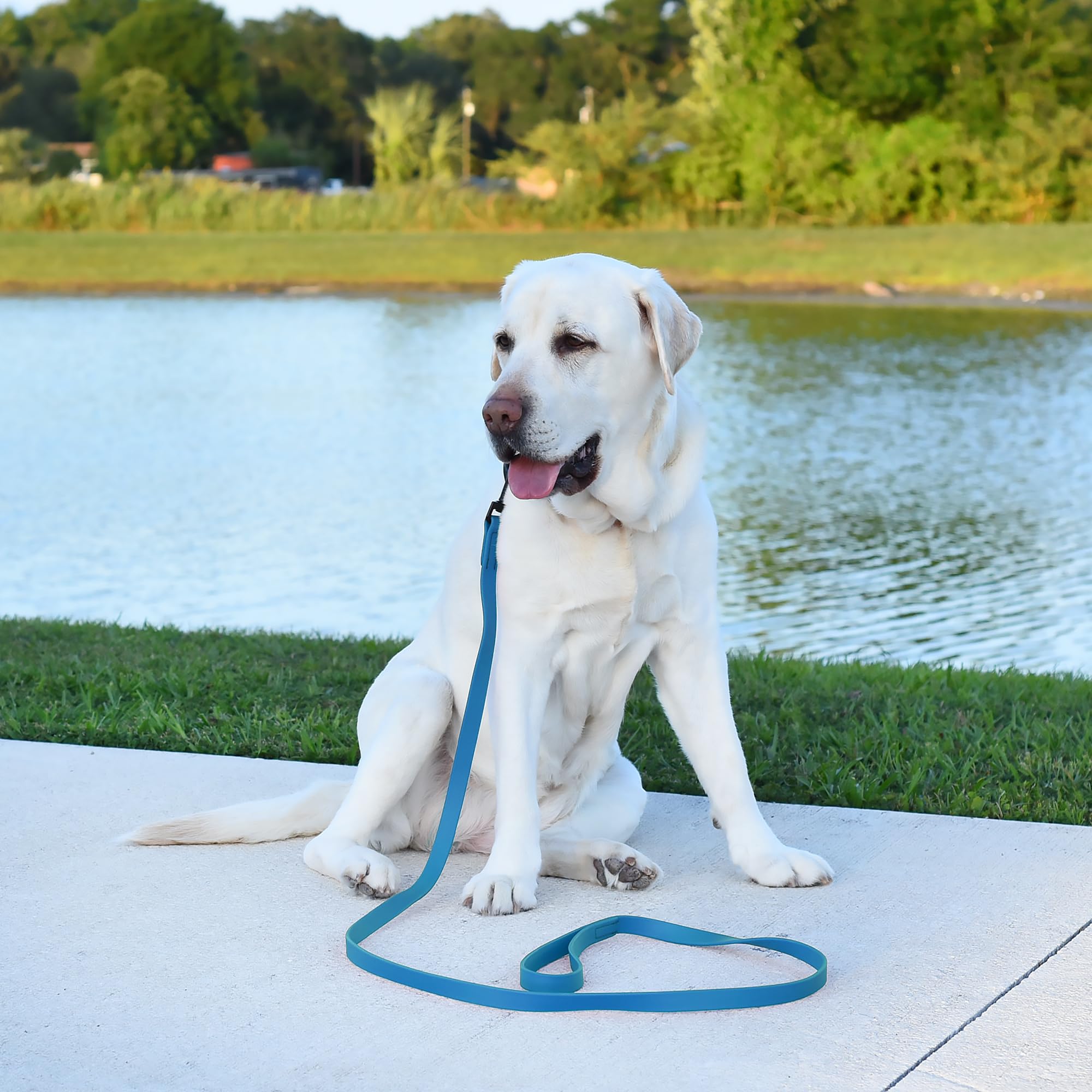 Dogline Biothane leash USA-made materials, reliable craftsmanship for everyday use.