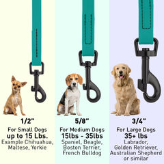 Dogline Biothane leash in wet conditions, demonstrating waterproof and easy-clean surface.