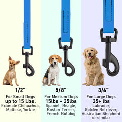 Dogline Biothane leash waterproof surface, odor-proof for swampy or muddy adventures.