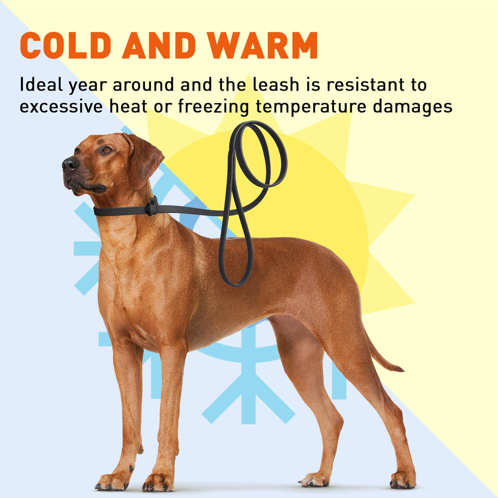 Dogline Biothane slip leash 5ft length for everyday walking.